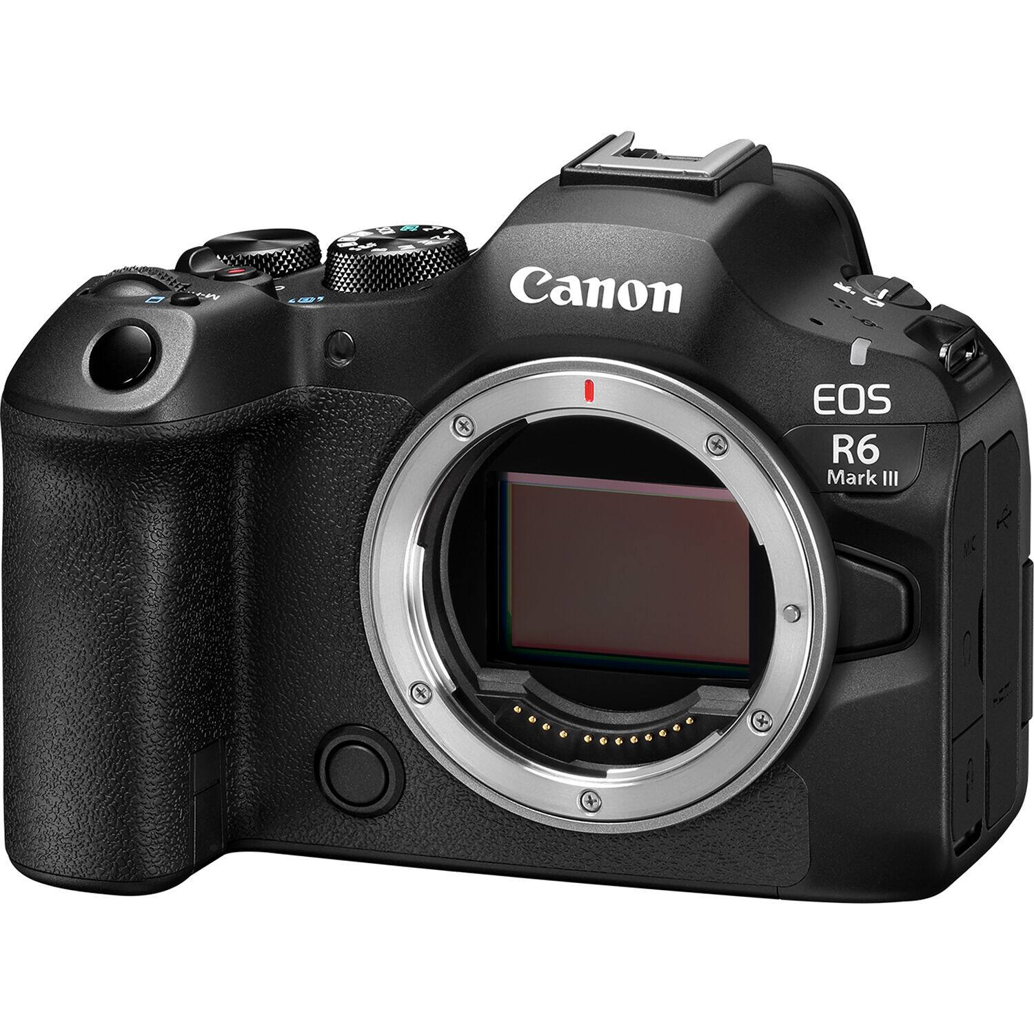 B C 44 Canon EOS R6 Mark III 1