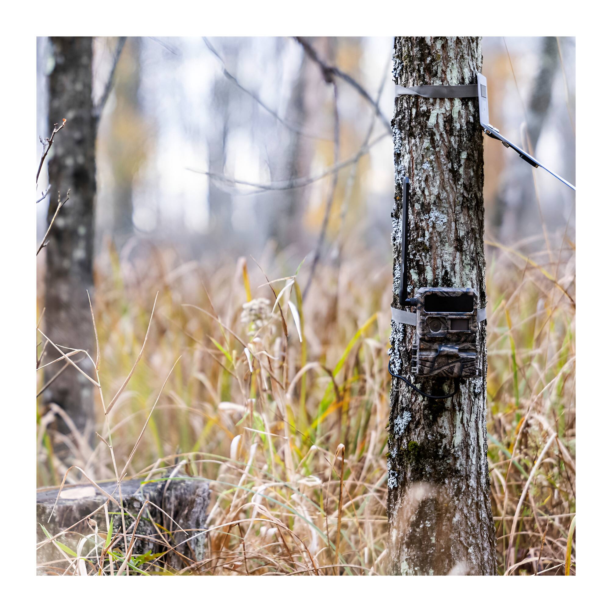 Angle. Yellowstone - Yellowstone Y2 Trail Camera Bundle with Card Reader and Accessories (2-Pack).