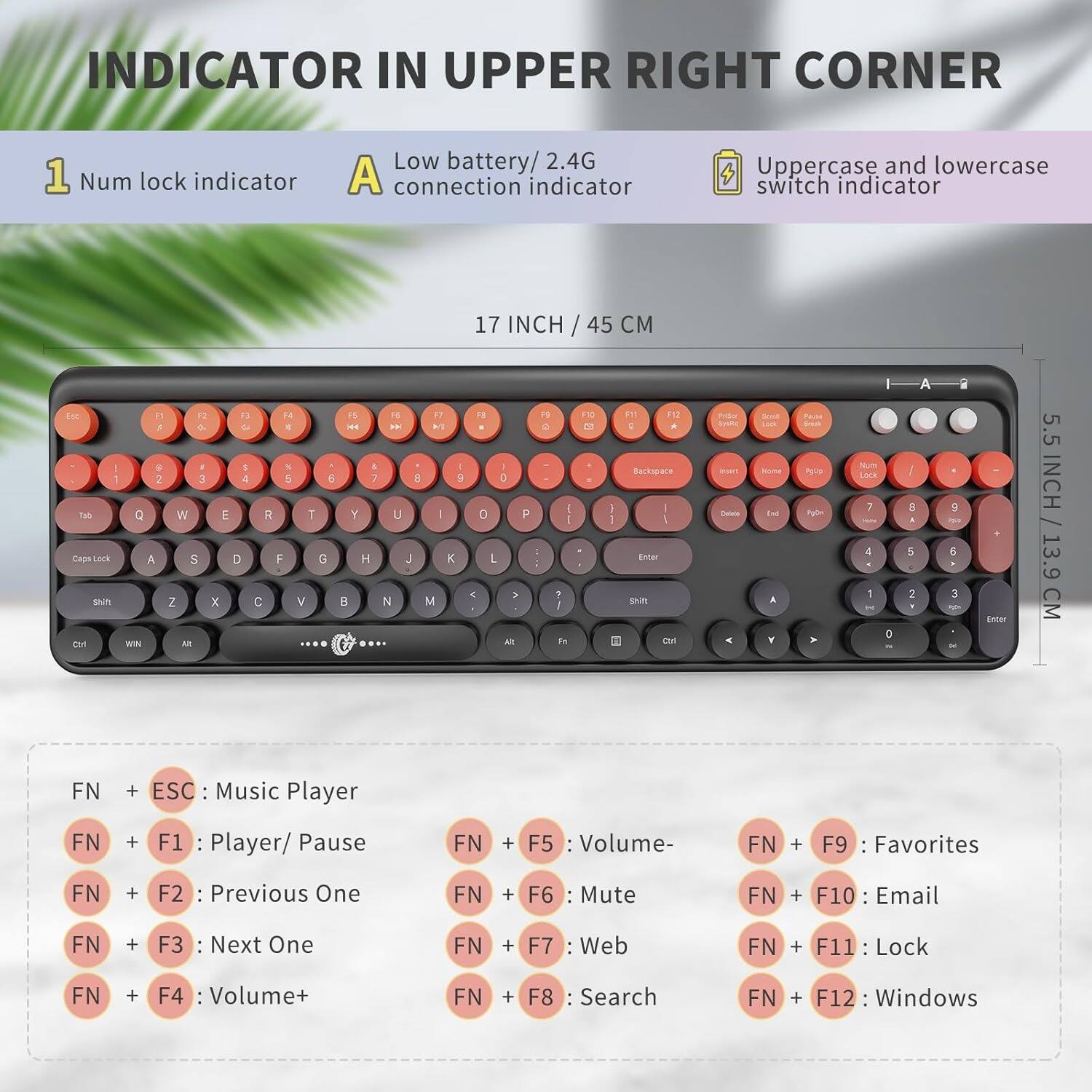 **INDICATOR IN UPPER RIGHT CORNER**

1. Num lock indicator  
2. Low battery/2.4G connection indicator  
3. Uppercase and lowercase switch indicator  

**17 INCH / 45 CM**  
**5.5 INCH / 13.9 CM**

**KEYBOARD FUNCTIONS:**

- FN + ESC: Music Player  
- FN + F1: Player/ Pause  
- FN + F2: Previous One  
- FN + F3: Next One  
- FN + F4: Volume+  
- FN + F5: Volume-  
- FN + F6: Mute  
- FN + F7: Web  
- FN + F8: Search  
- FN + F9: Favorites  
- FN + F10: Email  
- FN + F11: Lock  
- FN + F12: Windows