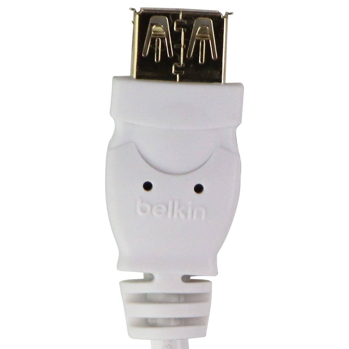 Alt View 1. Belkin - 6-Foot USB Type-A Male to Type-A Female Extension Cable USB 1.0 - 6.0 ft - White.