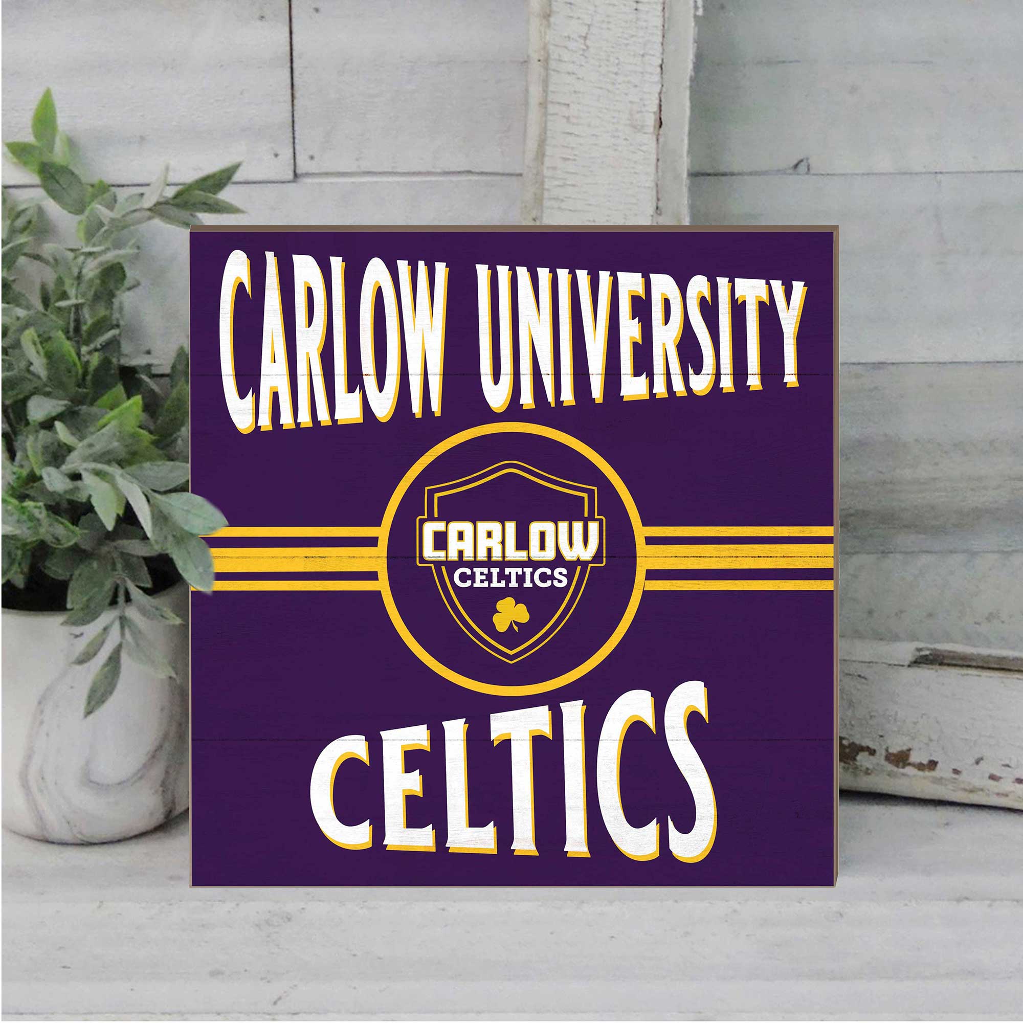 CARLOW UNIVERSITY  
CARLOW CELTICS  
CELTICS