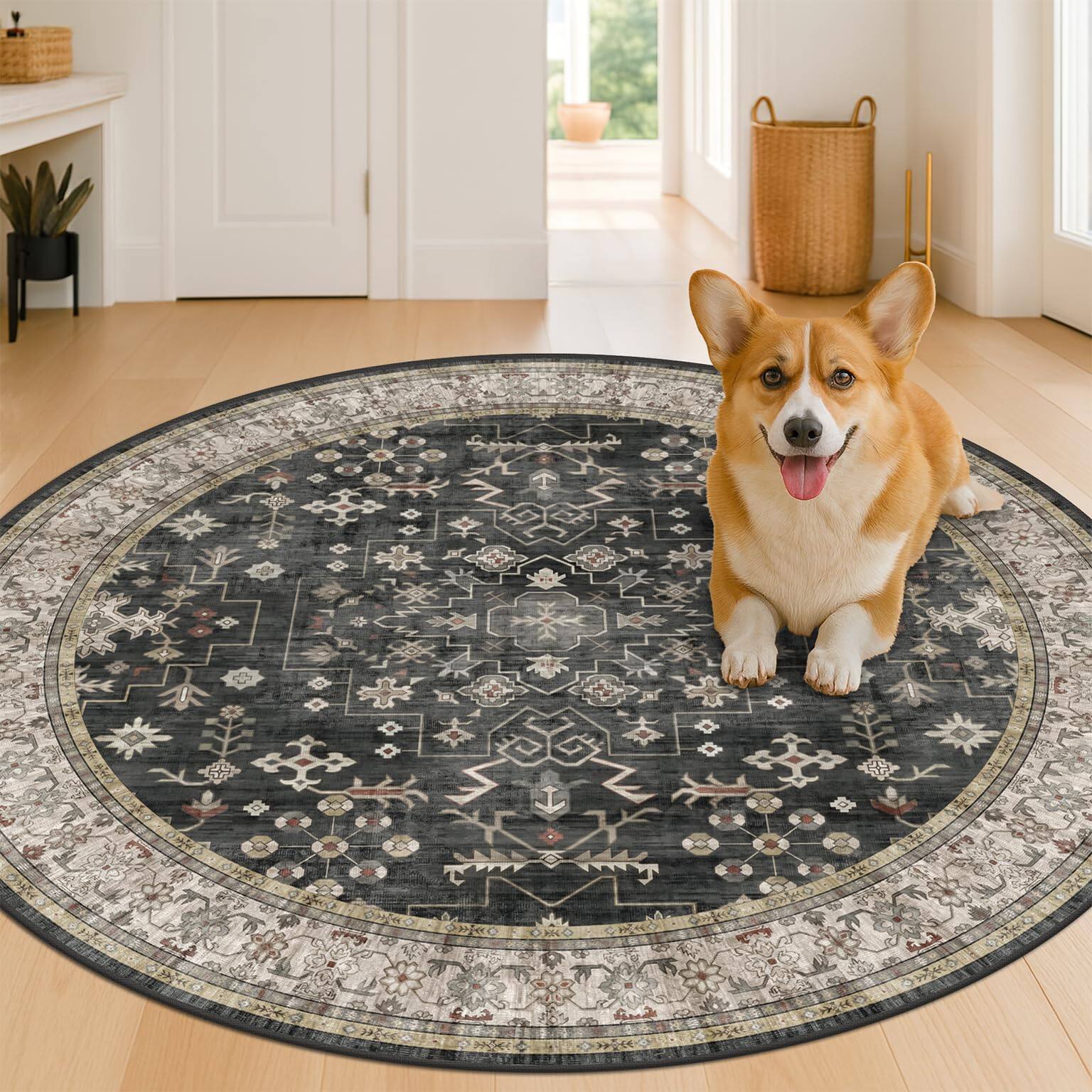 Back. Fabibe - 5X5 BLACK Machine Washable Indoor BOHO SMALL CIRCULE 5FT FOR LIVING ROOM WASHABLE DARK VINTAGE MOODY LOW PILE NON - Cream Green 8' (Round).