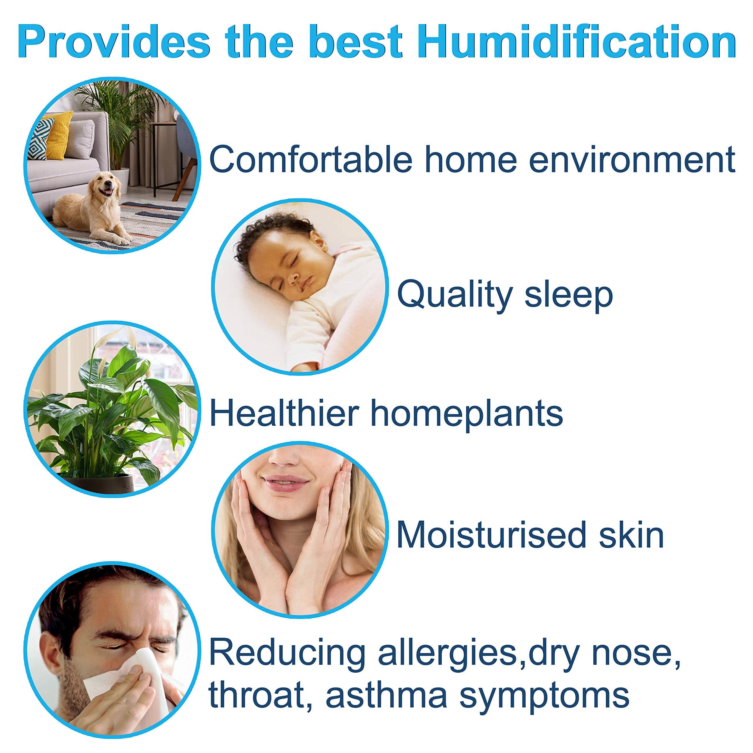 Provides the best Humidification

- Comfortable home environment
- Quality sleep
- Healthier homeplants
- Moisturised skin
- Reducing allergies, dry nose, throat, asthma symptoms