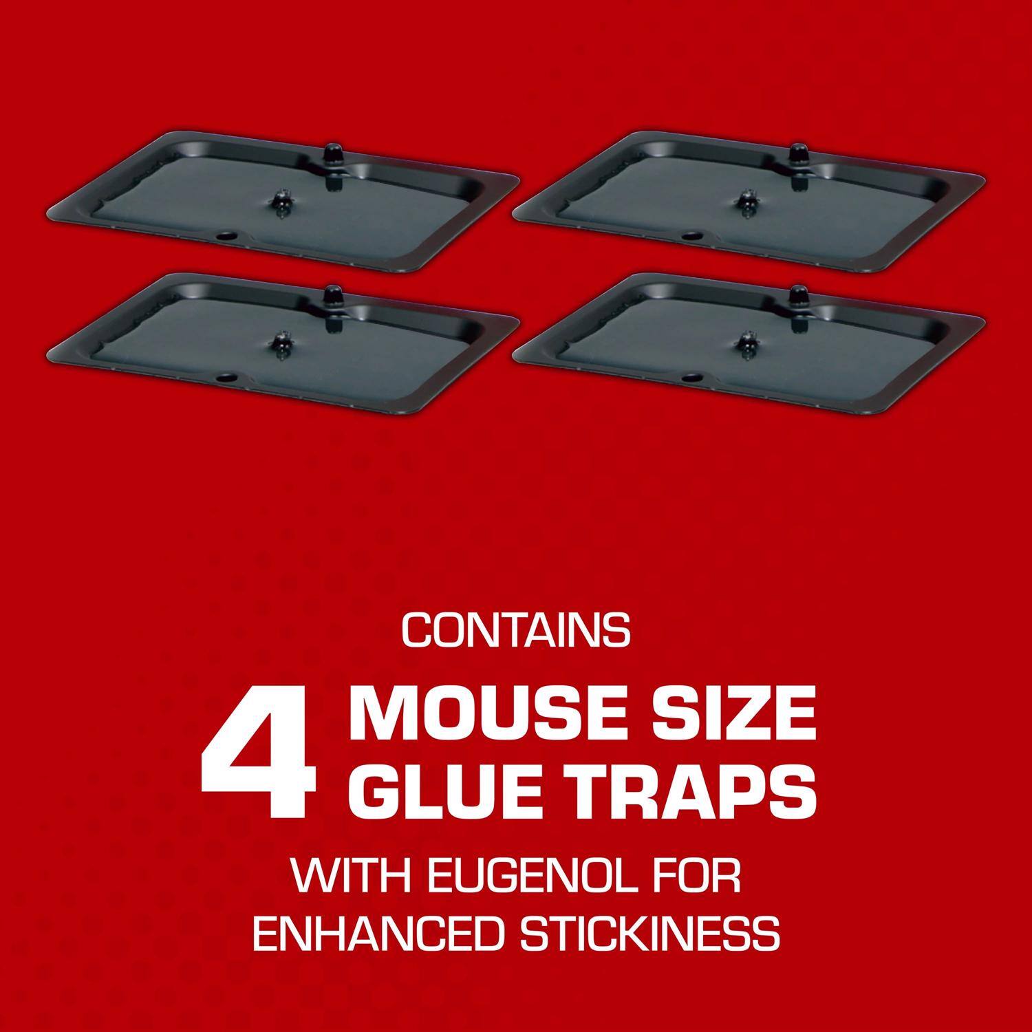 CONTAINS  
4 MOUSE SIZE GLUE TRAPS  
WITH EUGENOL FOR ENHANCED STICKINESS