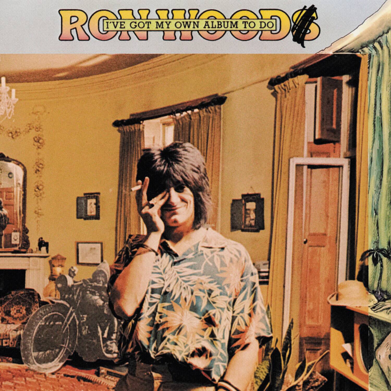 Ron Wood - I've Got My Own Album To Do   - COMPACT DISCS [CD] price history on PriceWatchPro