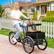 Alt View 4. Topteng - 20 inch Adult Tricycle with Removable Sunshade - 3-Wheel Bicycle, 330lb Capacity, Front Seat and Wood Cargo Rack, Black - Black.