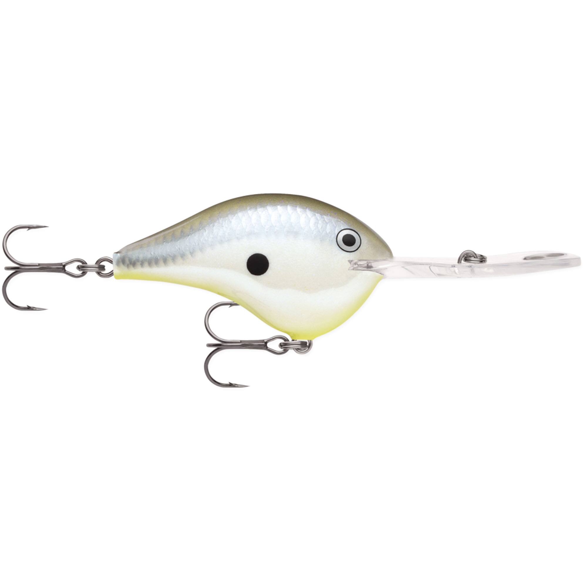 Disco Shad