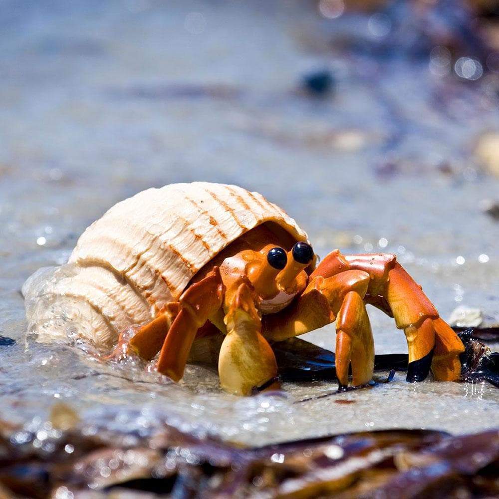Alt View 3. Safari Ltd. - Hermit Crab Toy Figurine.