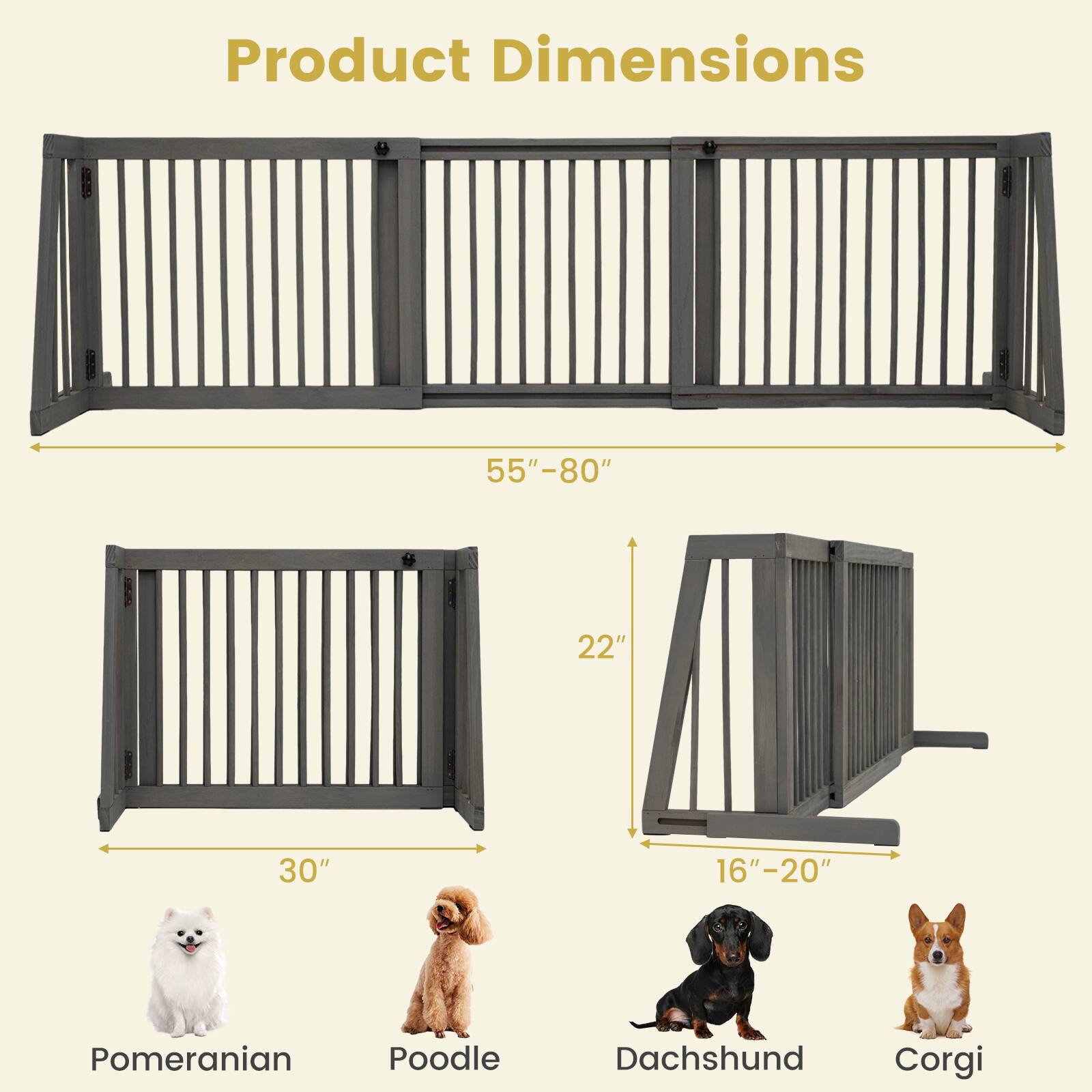 Product Dimensions  
55"-80"  
22"  
30"  
16"-20"  
Pomeranian  
Poodle  
Dachshund  
Corgi