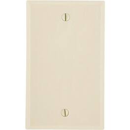 Leviton - Blank Wallplate 1-Gang - White
