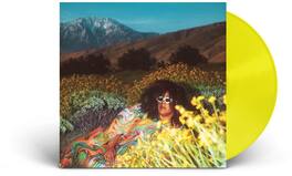 Brittany Howard - What Now - VINYL LP
