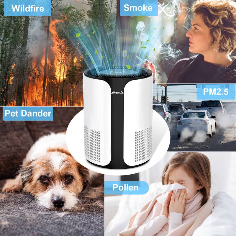 Wildfire Smoke  
Pet Dander  
PM2.5  
Pollen