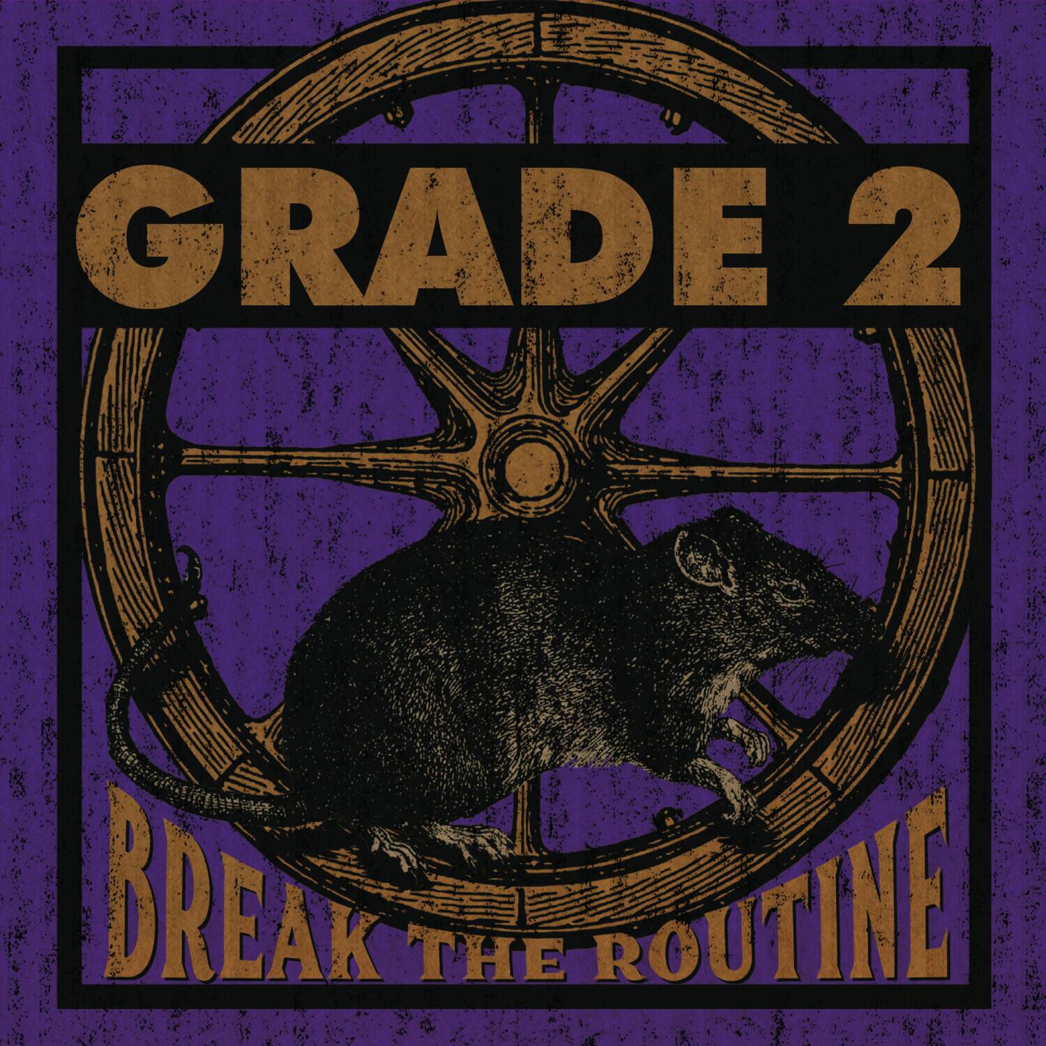 GRADE 2  
BREAK THE ROUTINE