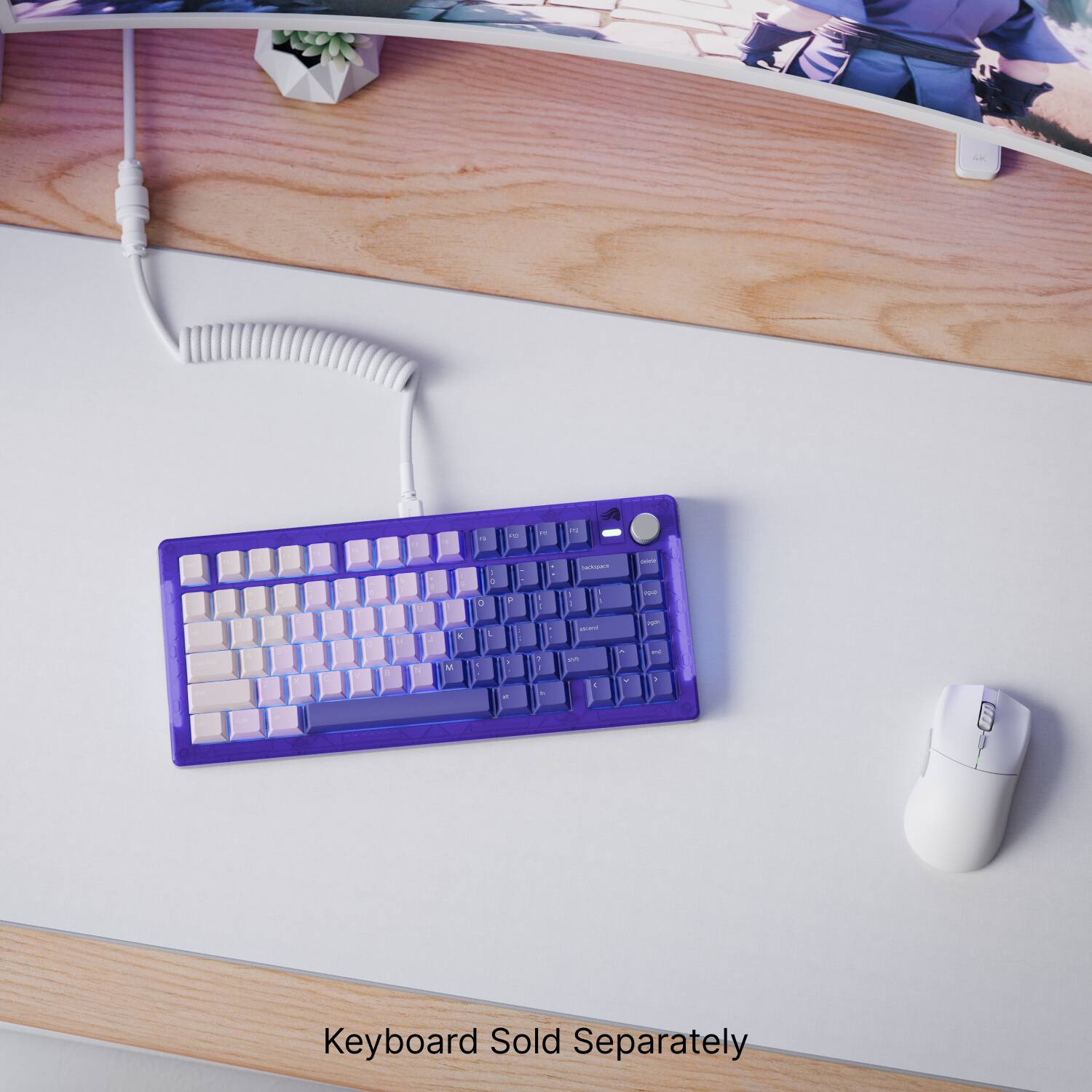 Keyboard Sold Separately