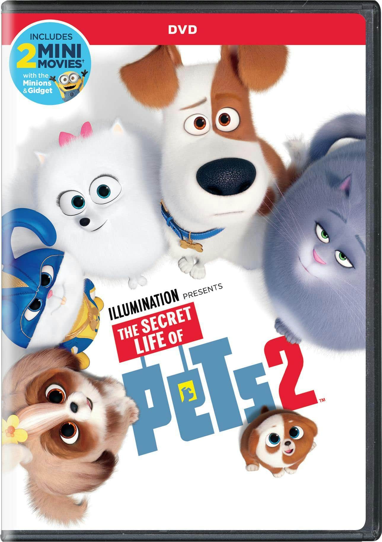 Front. The Secret Life of Pets 2 (DVD) [DVD].
