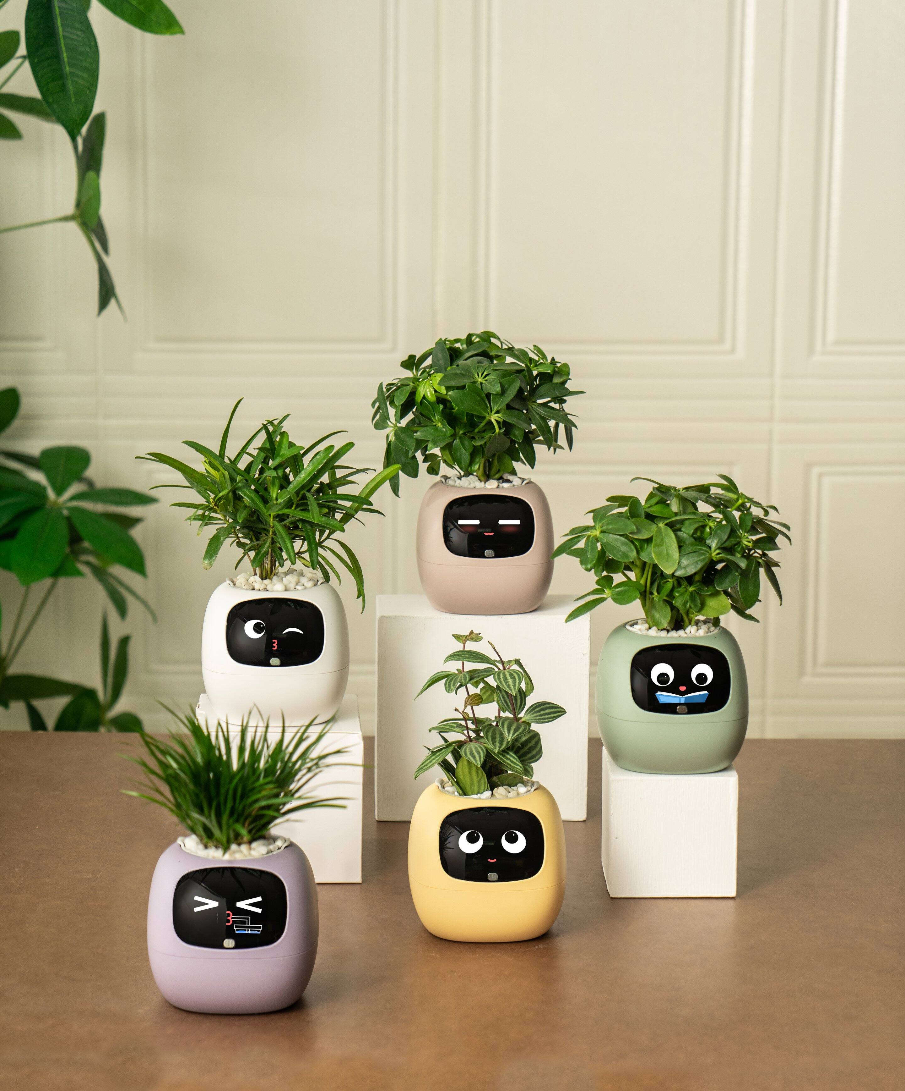 Alt View 1. PlantsIO - Ivy Gen 2 Smart Planter-PINK.