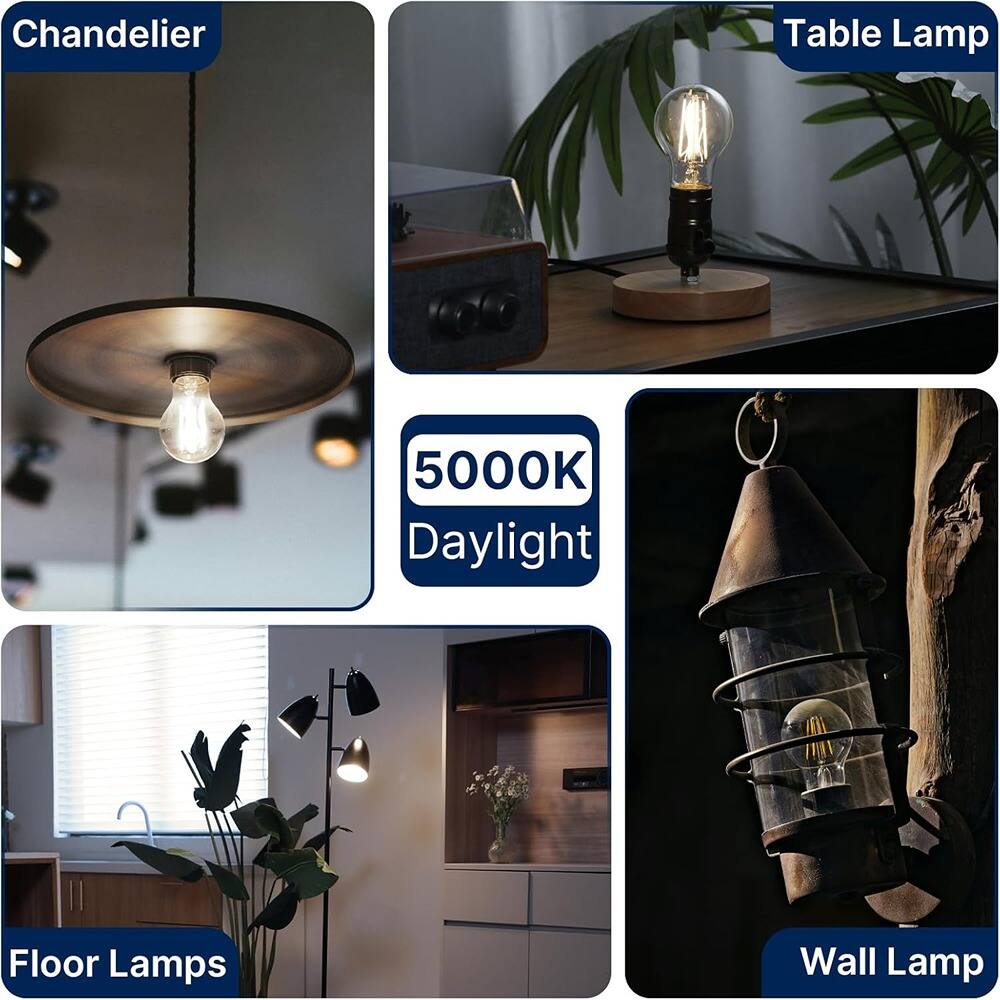 Chandelier  
Table Lamp  
5000K Daylight  
Floor Lamps  
Wall Lamp