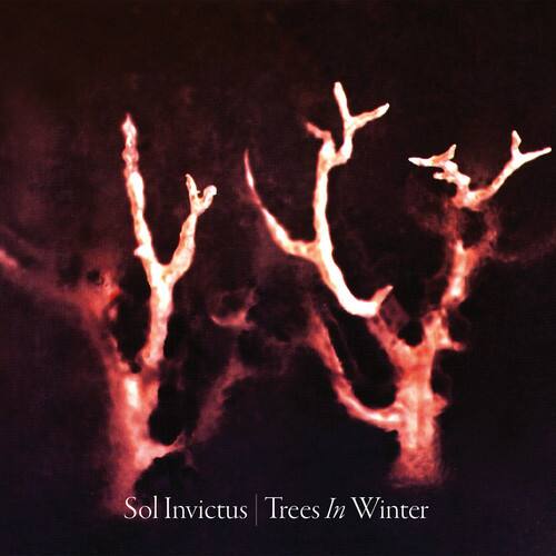 Sol Invictus - Trees In Winter   - COMPACT DISCS [CD] price history on PriceWatchPro