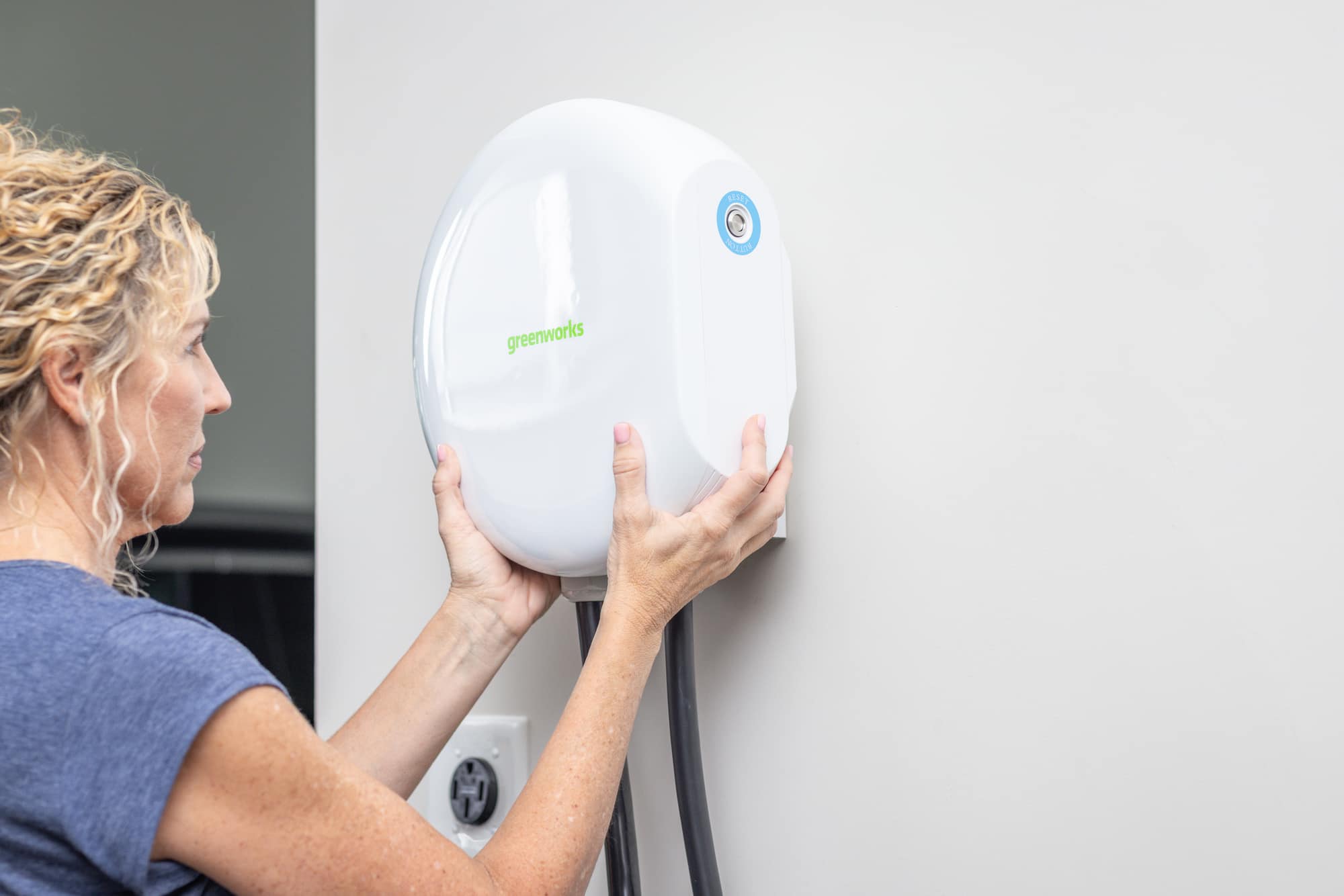 The text on the image reads "greenworks."