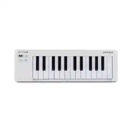 Arturia - MicroLab mk3 25-Key Universal MIDI Controller (White)