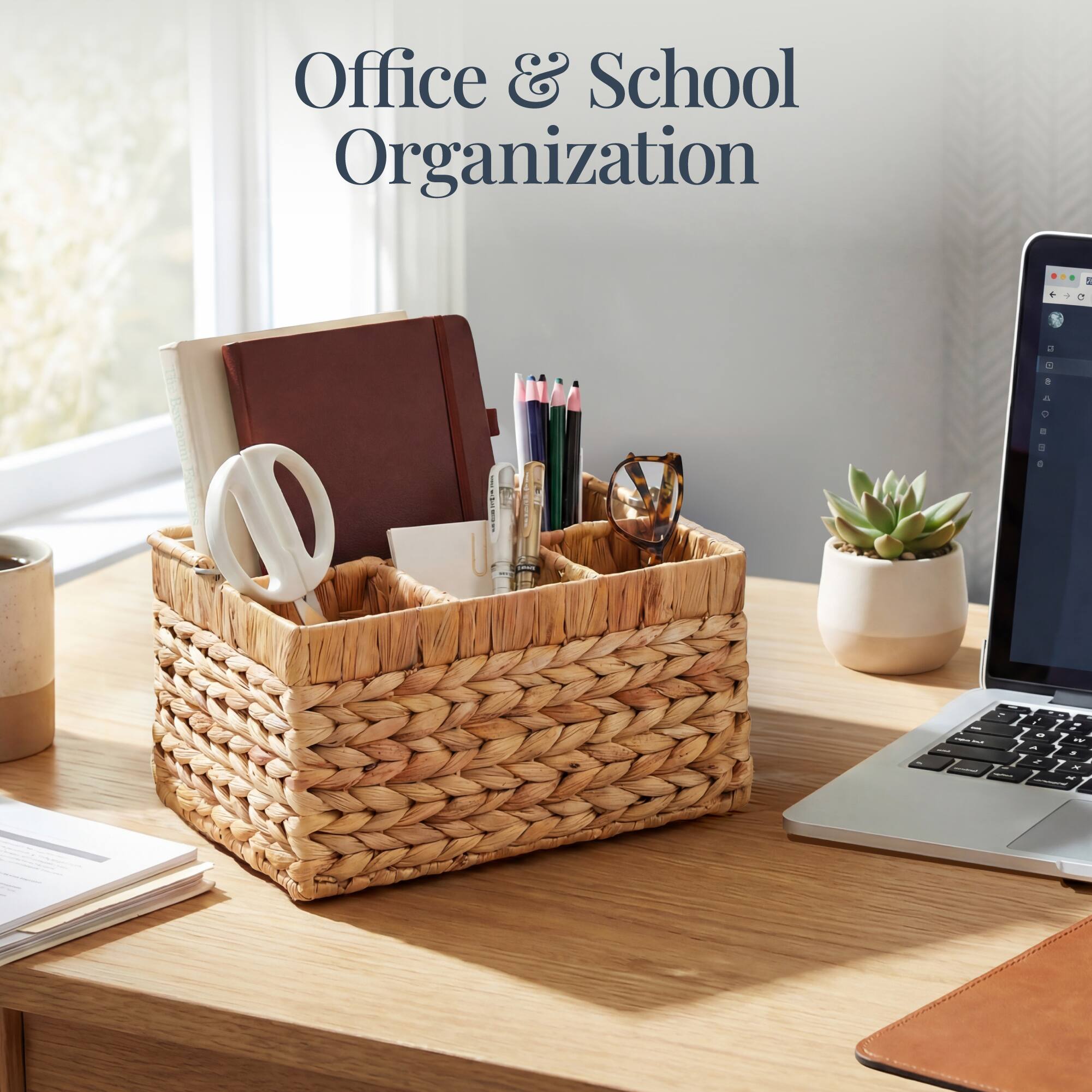 Office & School Organization