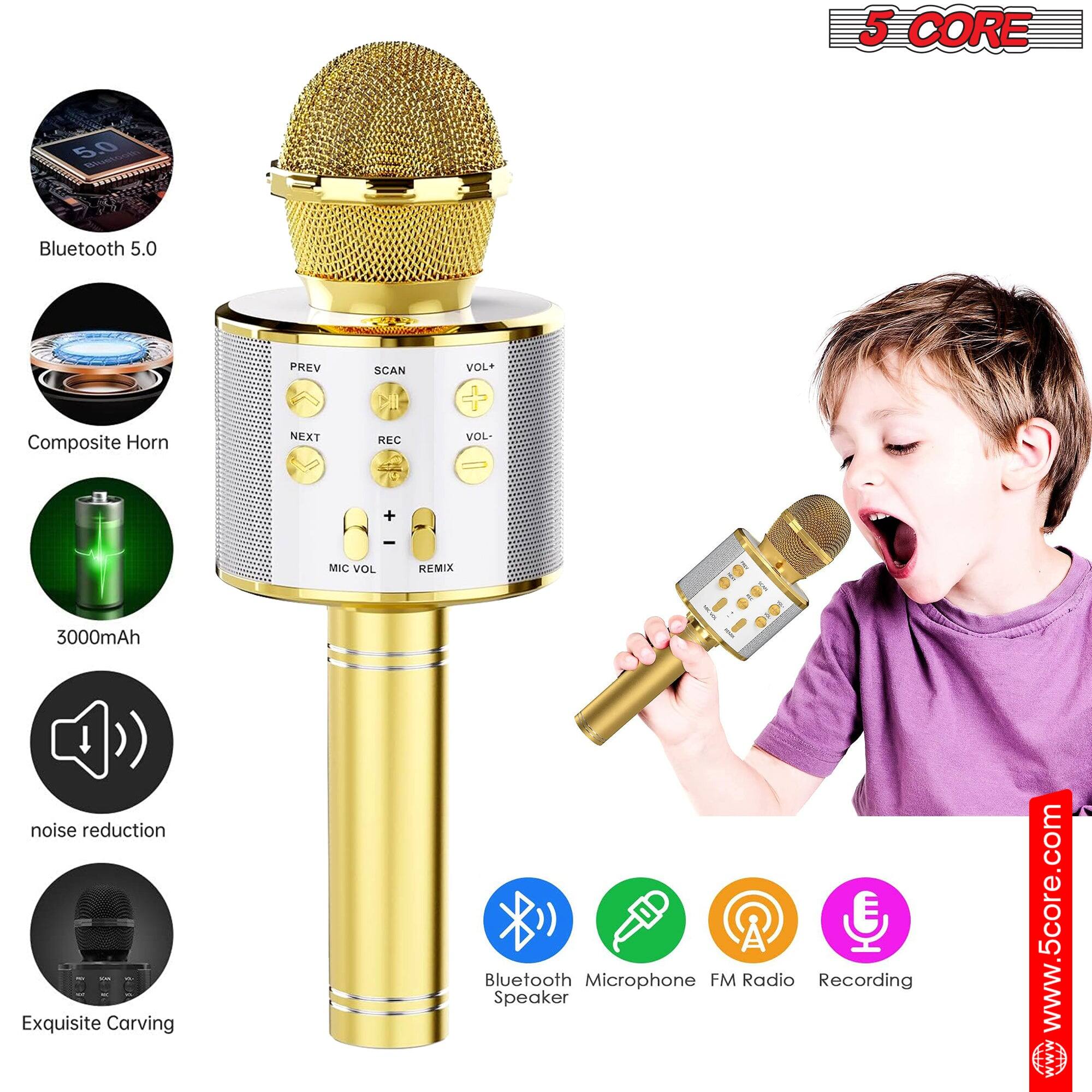 5 CORE 5.0 Bluetooth 5.0 PREV SCAN VOL+ Composite Horn NEXT REC VOL- + - MIC VOL REMIX 3000mAh noise reduction Exquisite Carving Bluetooth Microphone FM Radio Recording Speaker www.5core.com