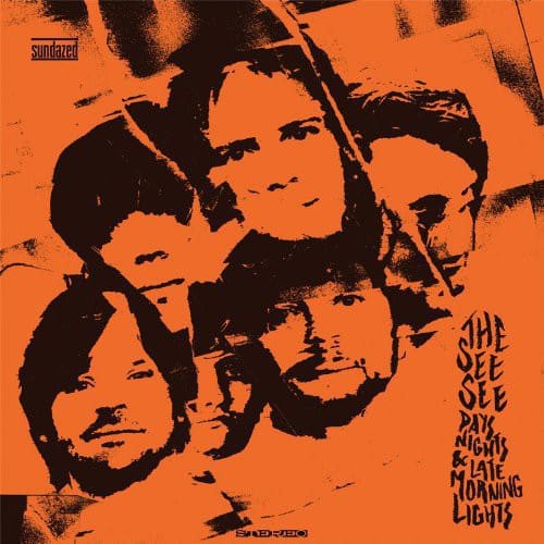 The See See - Days Nights & Late Morning Lights   - VINYL LP price history on PriceWatchPro