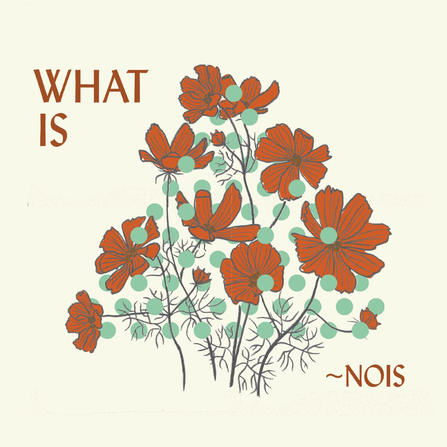 Nois - What Is nois?   - COMPACT DISCS [CD] price history on PriceWatchPro