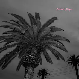 Actual Wolf - Faded Days - VINYL LP