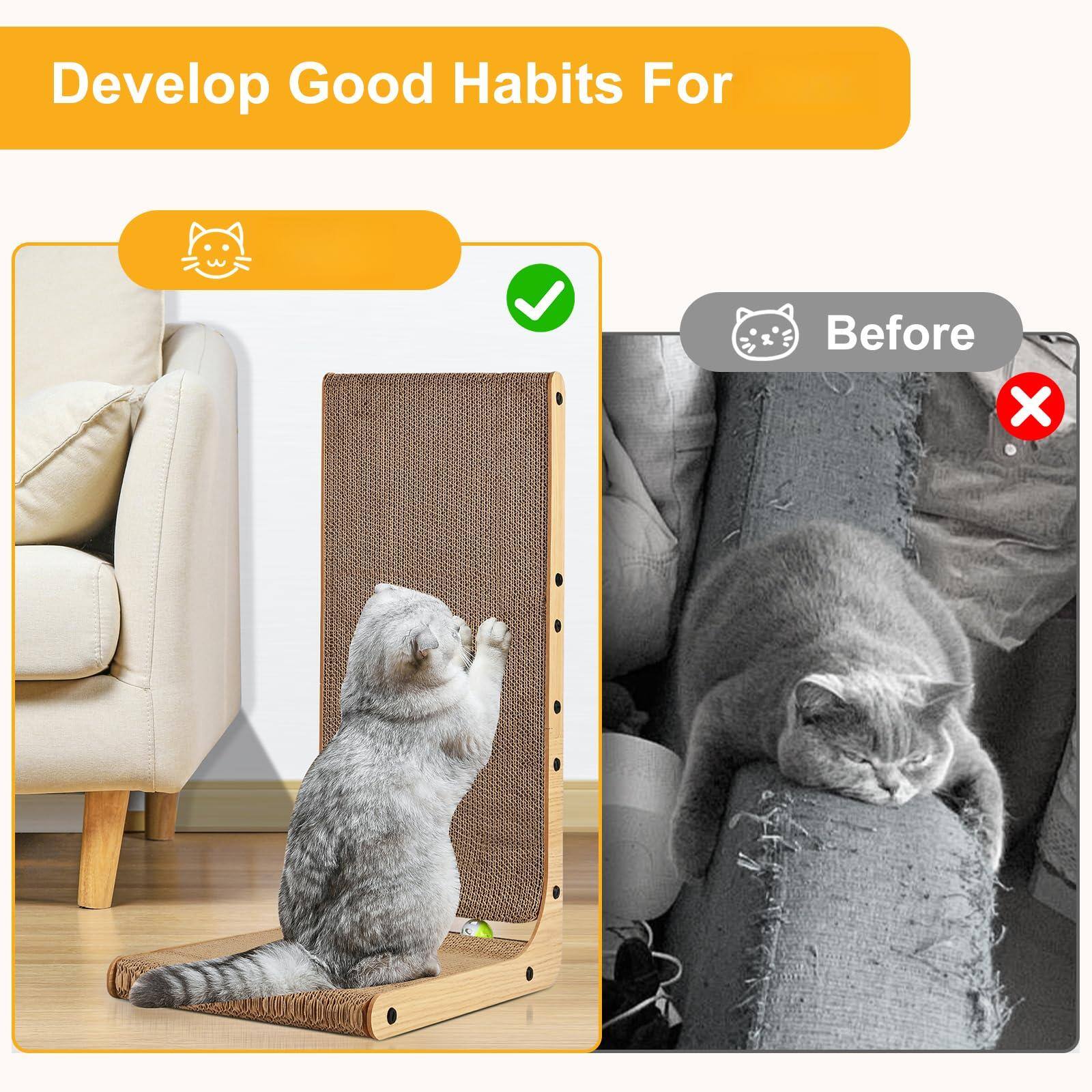 Develop Good Habits For

Before