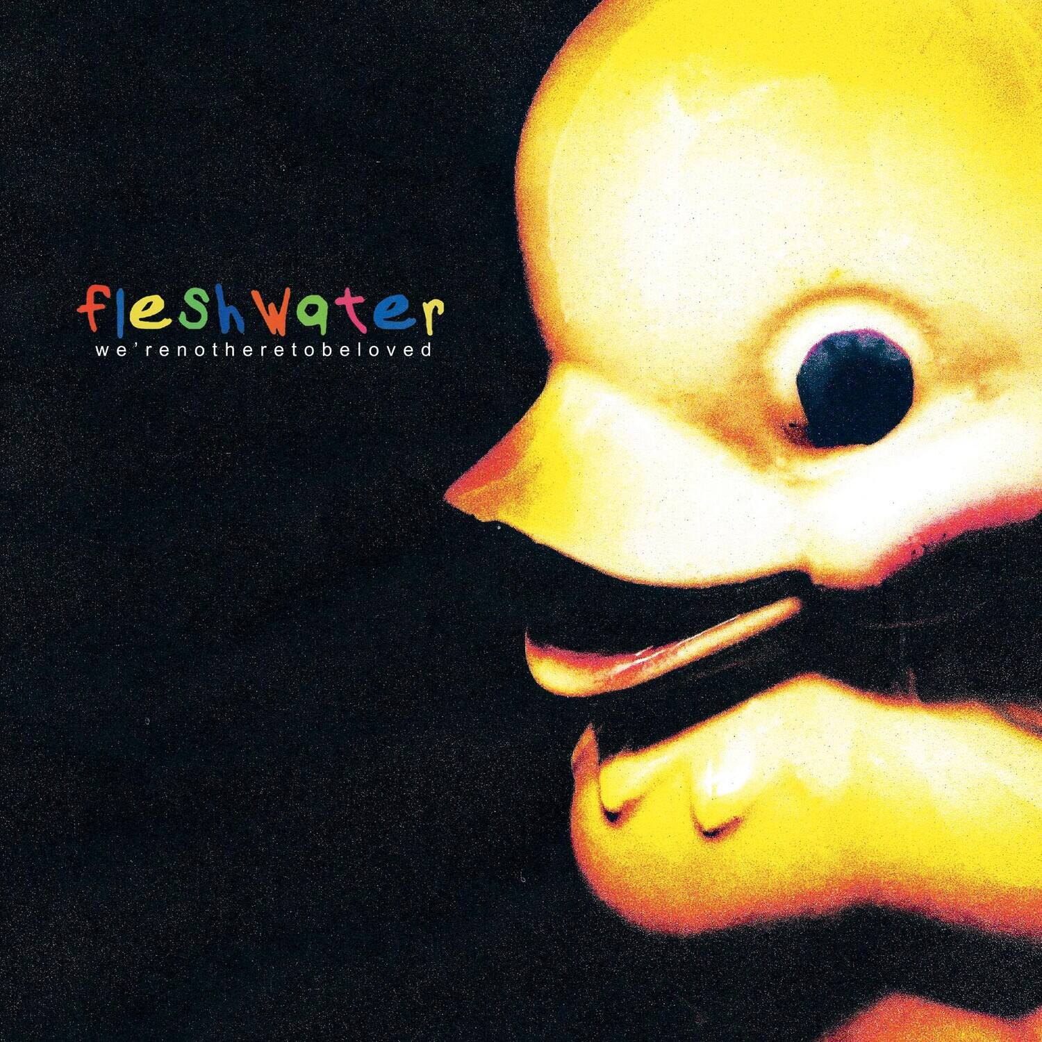 Fleshwater - We're Not Here To Be Loved   - COMPACT DISCS [CD]
