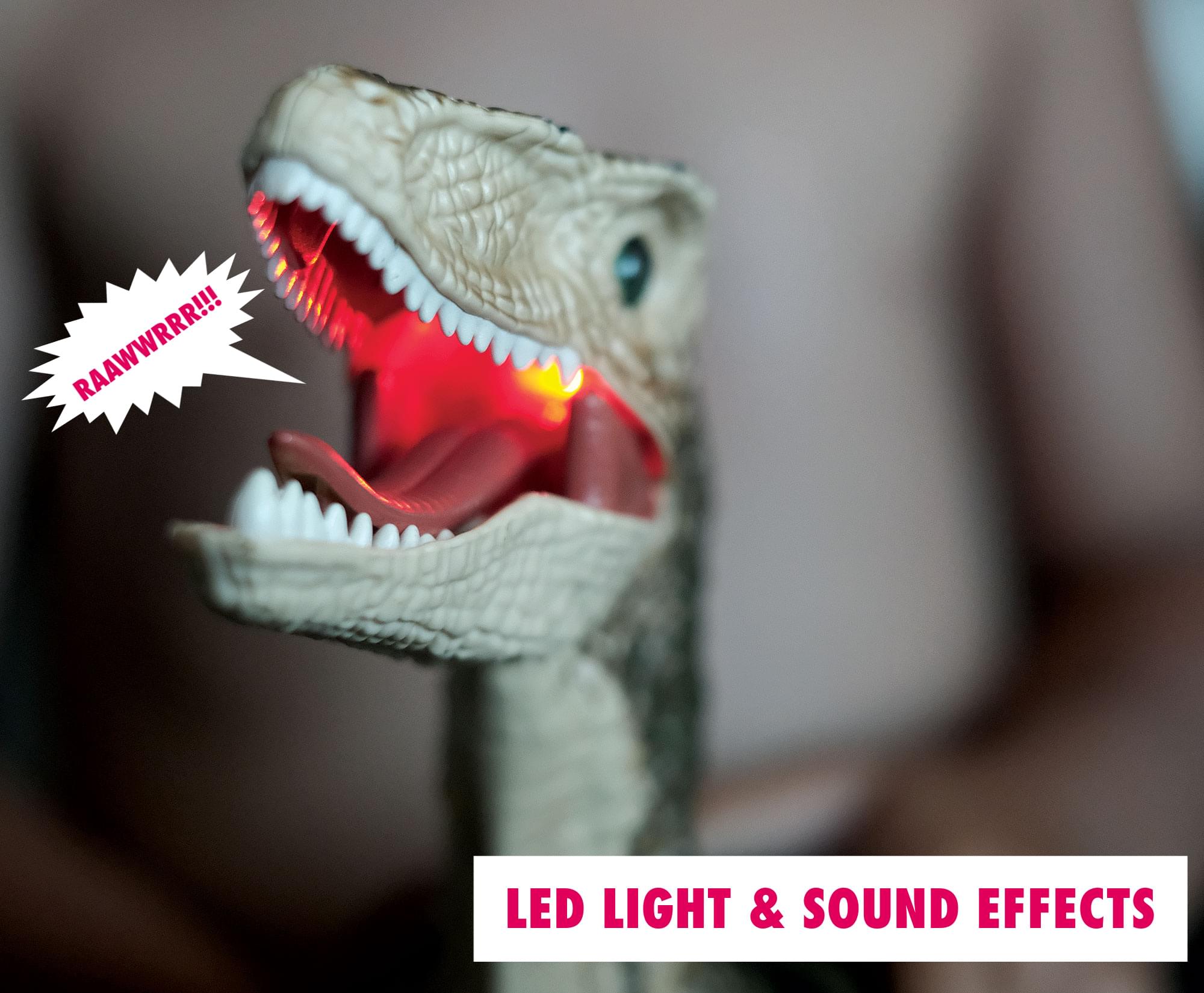RAAWWWWRRR!!!

LED LIGHT & SOUND EFFECTS
