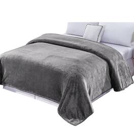 Noble House - Plazatex Micro Plush Solid Parteen Soft Comfortable and Lightweight All Seasons Blanket Twin Grey - Gray