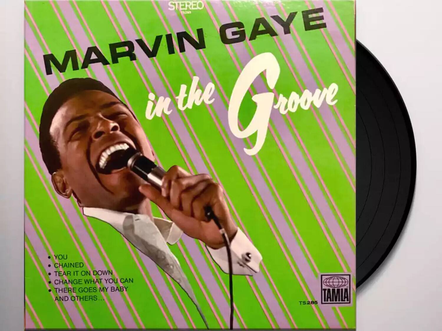 MARVIN GAYE  
in the Groove  

- YOU  
- CHAINED  
- TEAR IT ON DOWN  
- CHANGE WHAT YOU CAN  
- THERE GOES MY BABY  
- AND OTHERS...  

TAMIA  
TS285