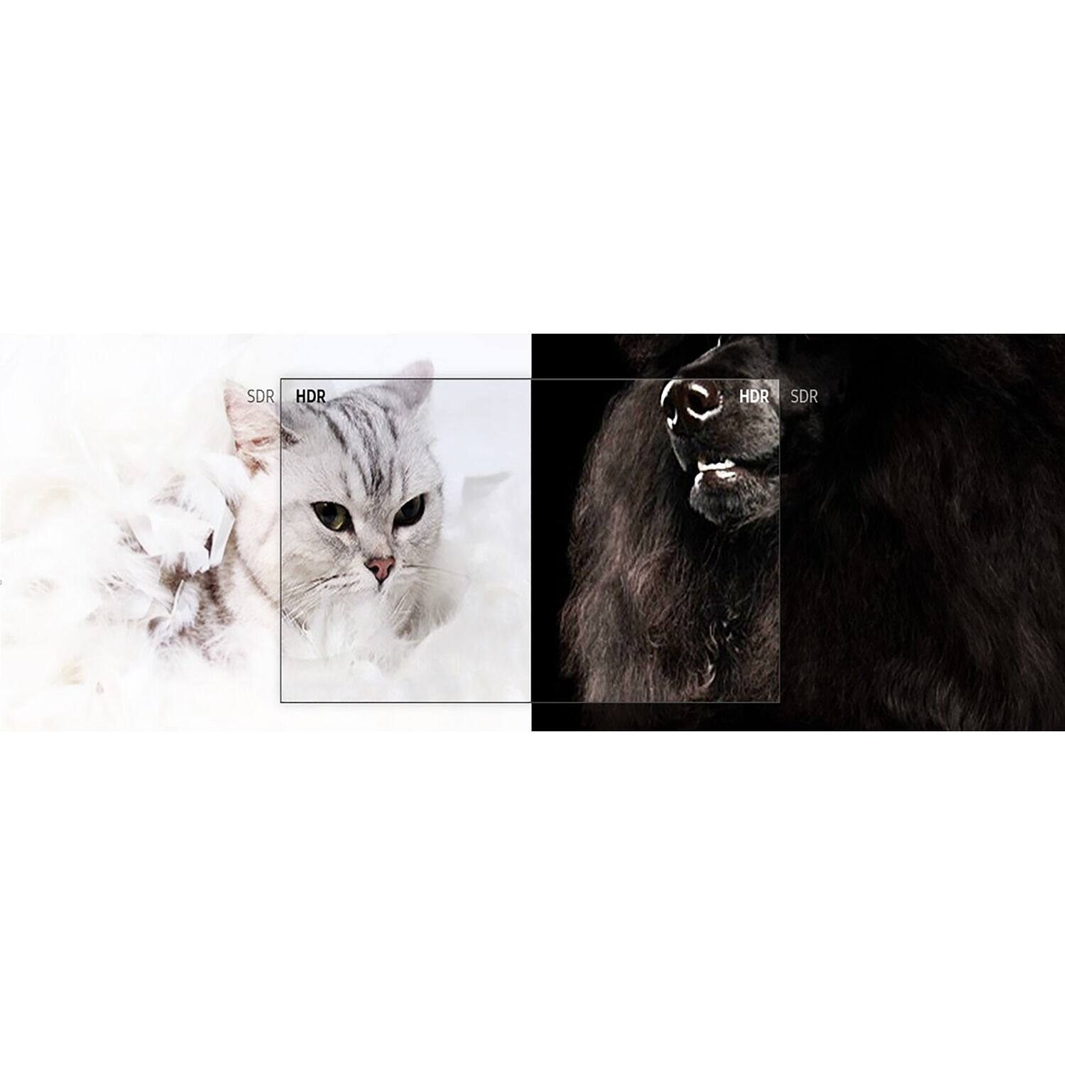 Alt View 18. Samsung - 65" CLASS BE65T-H LED 4K Commercial Grade TV - Black.