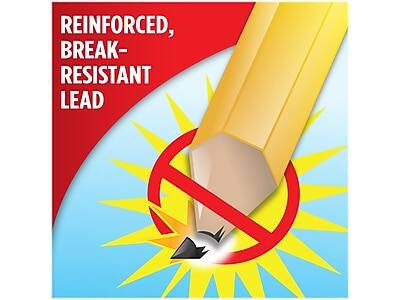 REINFORCED, BREAK-RESISTANT LEAD