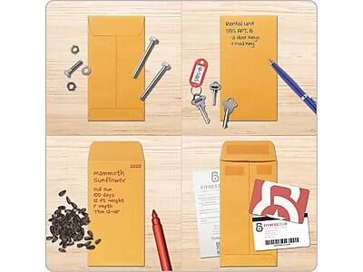 Rental Lant  
5 lbs. Apt. 6  
1 door key  
1 mail key  

Mammoth Sunflower  
Full Sun  
100 days  
6 ft. height  
12-18" spread  

USPS  
Priority Mail