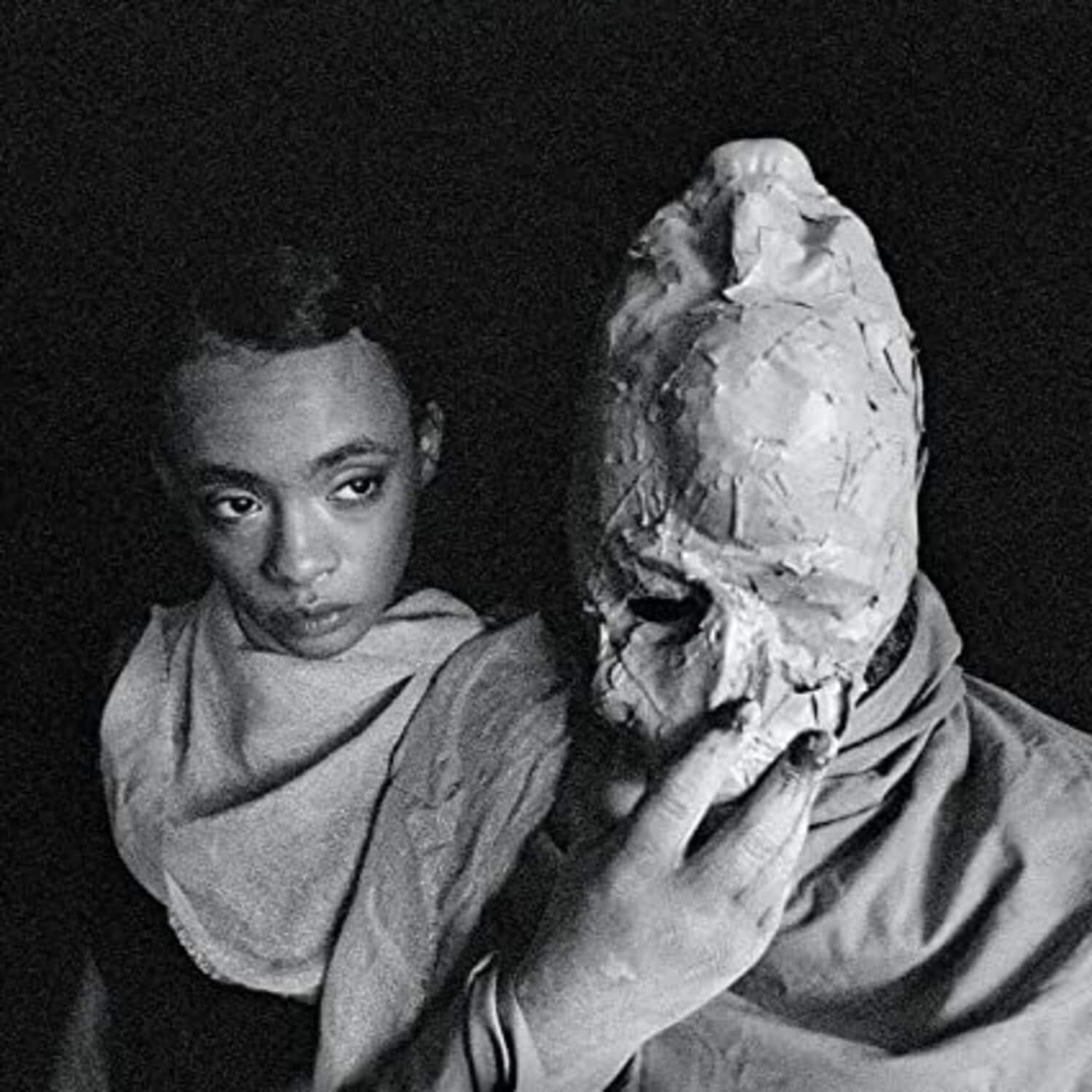 Protomartyr - Formal Growth In The Desert   - VINYL LP price history on PriceWatchPro