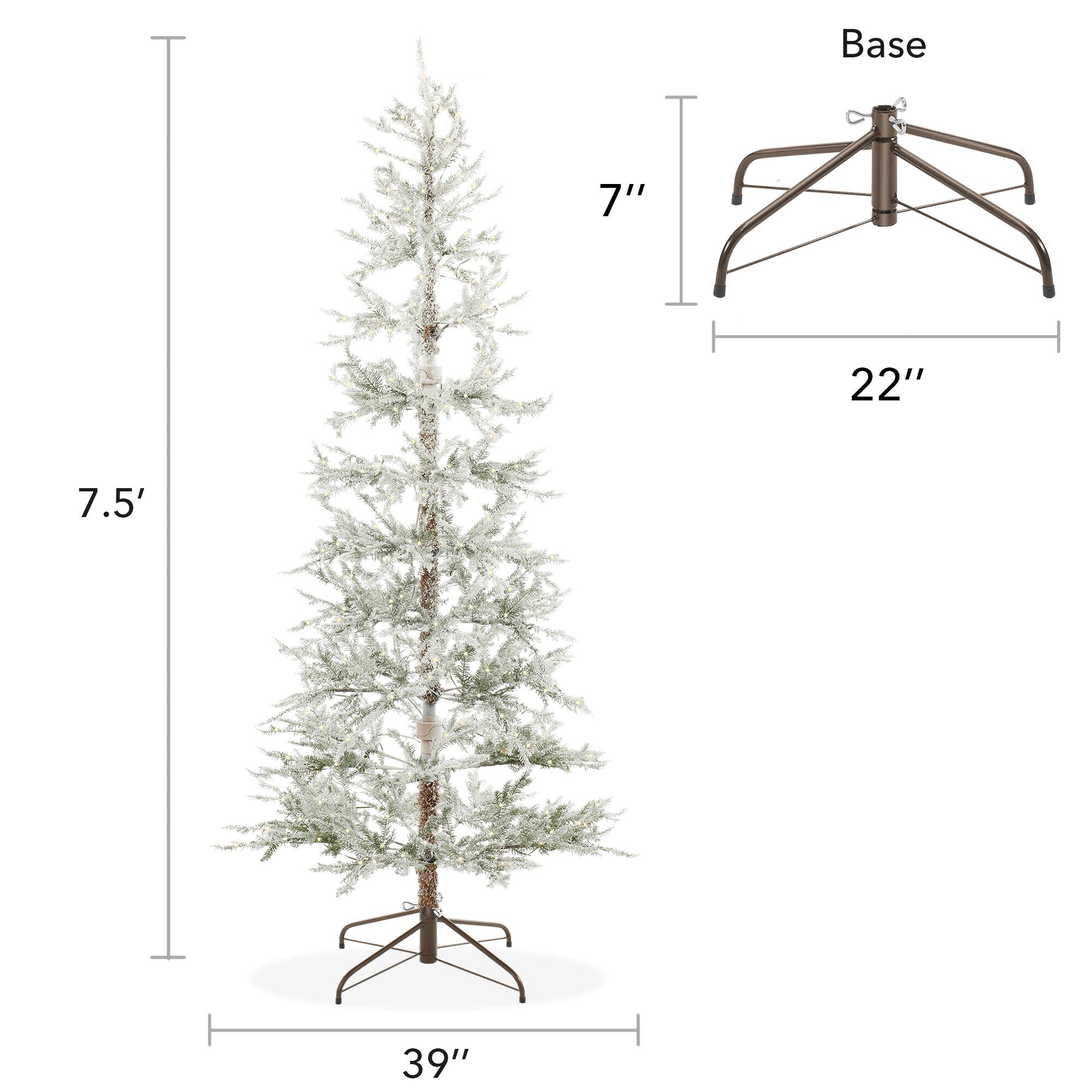 Base 7" 22" 7.5' 39"