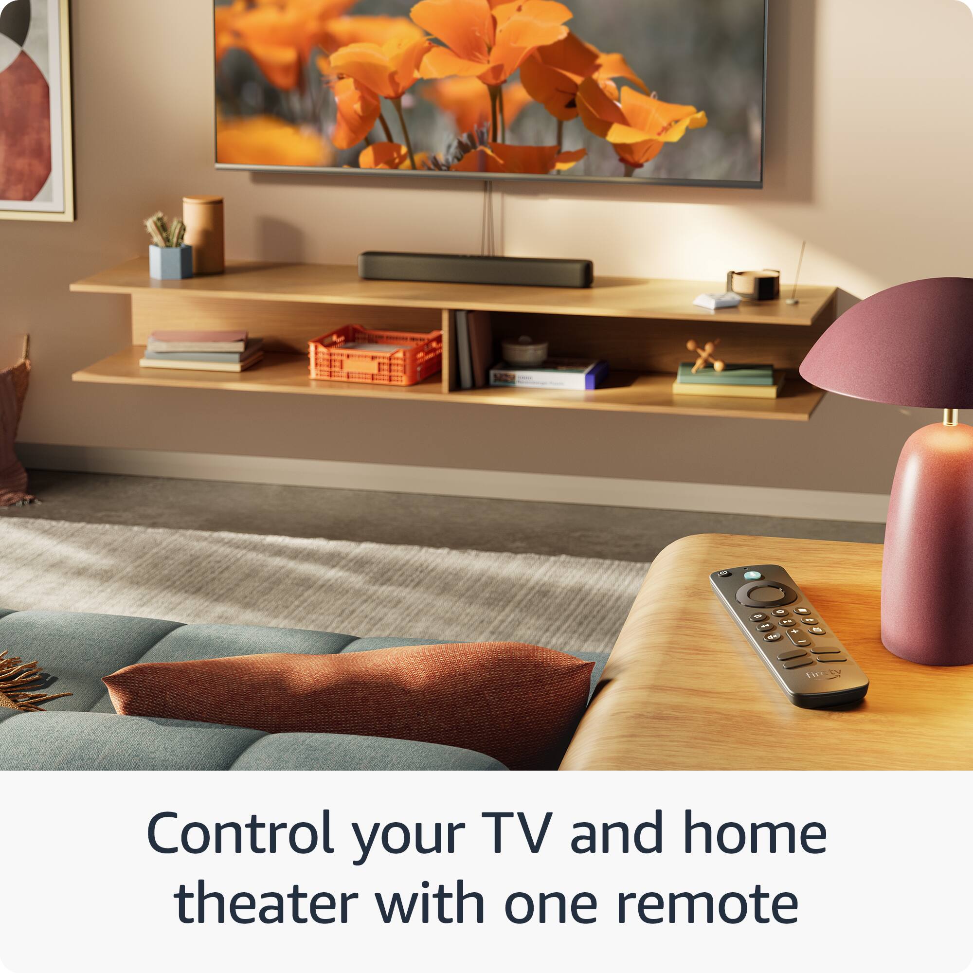 Control your TV and home theater with one remote.
