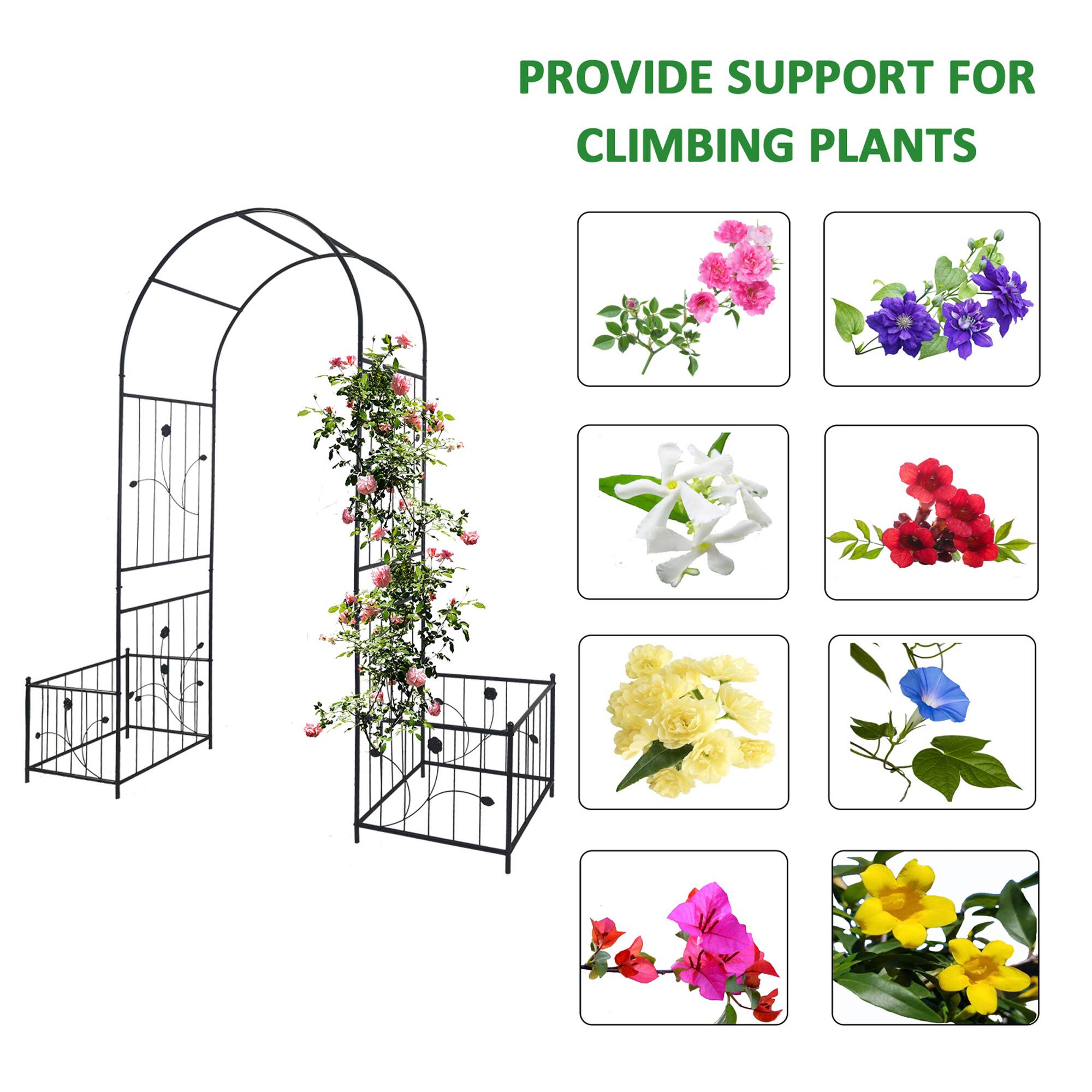 PROVIDE SUPPORT FOR CLIMBING PLANTS
