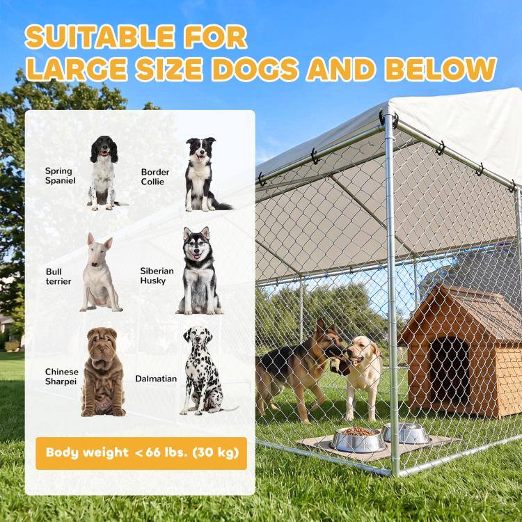 SUITABLE FOR LARGE SIZE DOGS AND BELOW

Spring Spaniel  
Border Collie  
Bull terrier  
Siberian Husky  
Chinese Sharpei  
Dalmatian  

Body weight < 66 lbs. (30 kg)