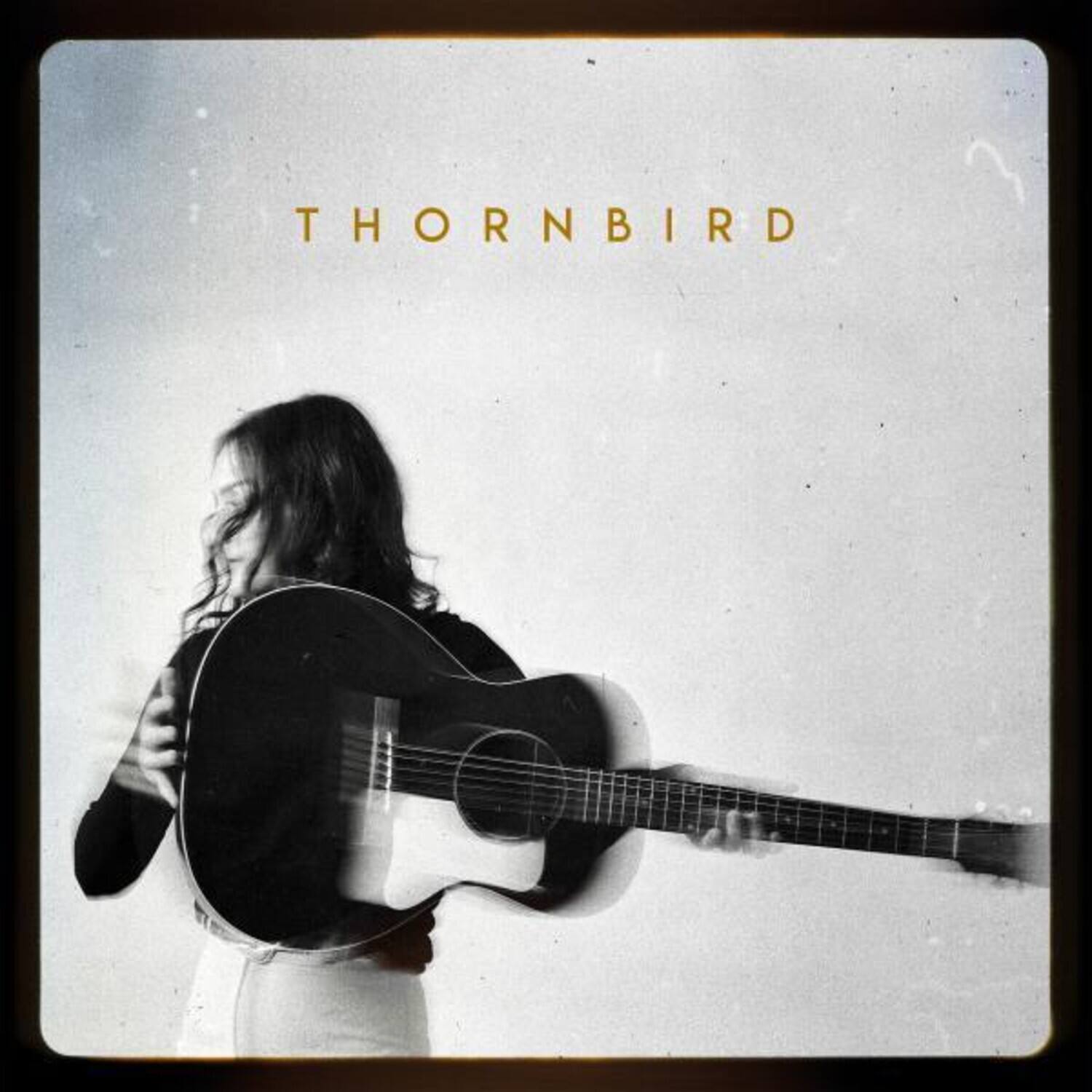 Thornbird - Thornbird  - COMPACT DISCS
