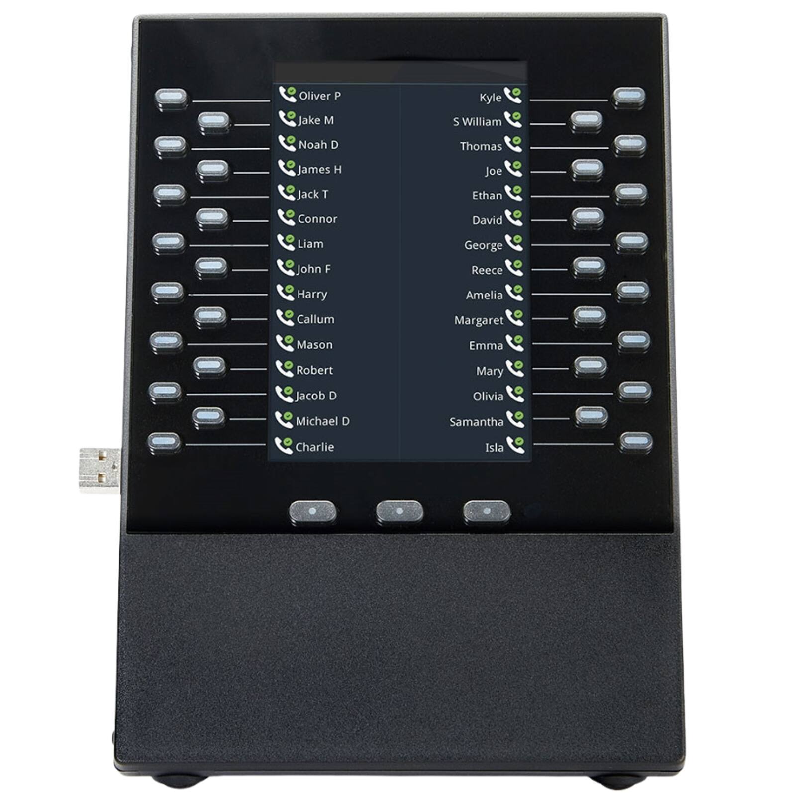 Oliver P  
Jake M  
Noah D  
James H  
Jack T  
Connor  
Liam  
John F  
Harry  
Callum  
Kyle S  
William  
Thomas  
Joe  
Ethan  
David  
George  
Reece  
Amelia  
Margaret  
Emma  
Mary  
Olivia  
Michael D  
Samantha  
Charlie  
Isla