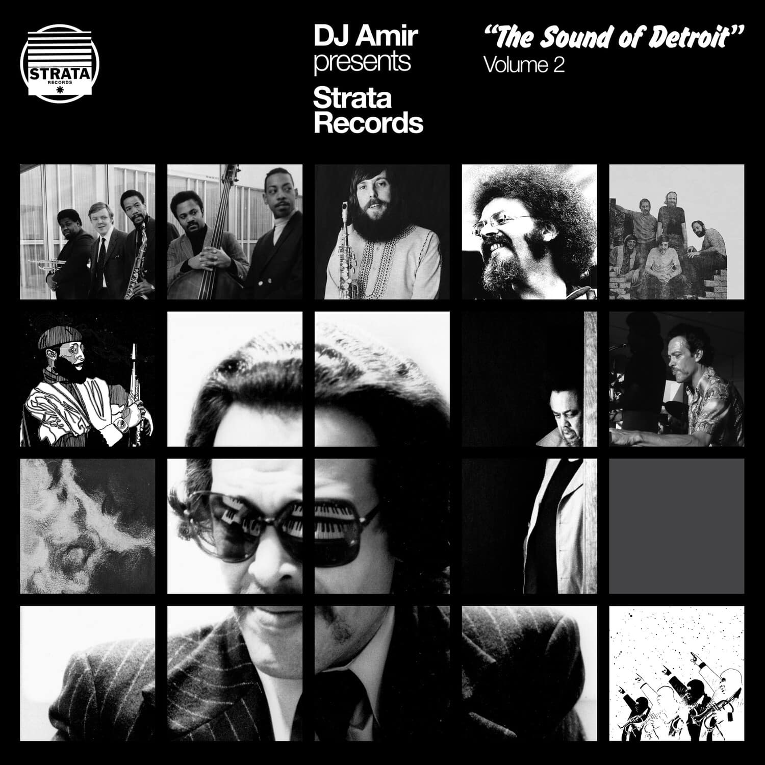 DJ Amir - Dj Amir Presents Strata Records: The Sound Of Detroit Vol. 2   - VINYL LP price history on PriceWatchPro
