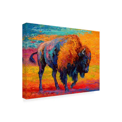 Front. Trademark Fine Art - Marion Rose 'Spirit Of The Prairie' Canvas Art - Multicolor.