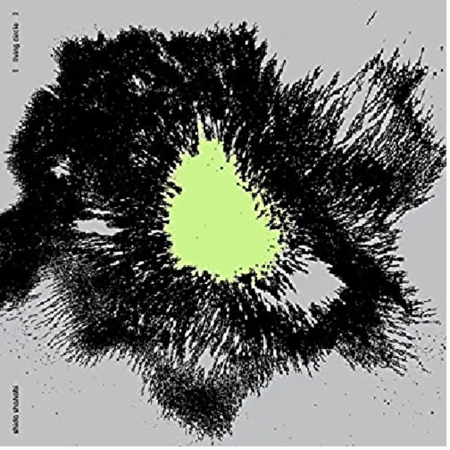 Shida Shahabi - Living Circle - VINYL LP
