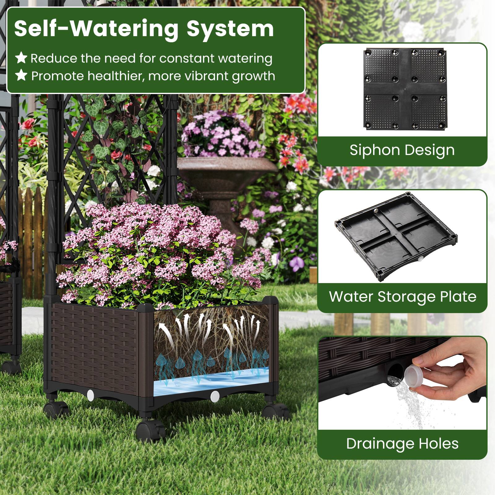 Self-Watering System  
- Reduce the need for constant watering  
- Promote healthier, more vibrant growth  

Siphon Design  
Water Storage Plate  
Drainage Holes