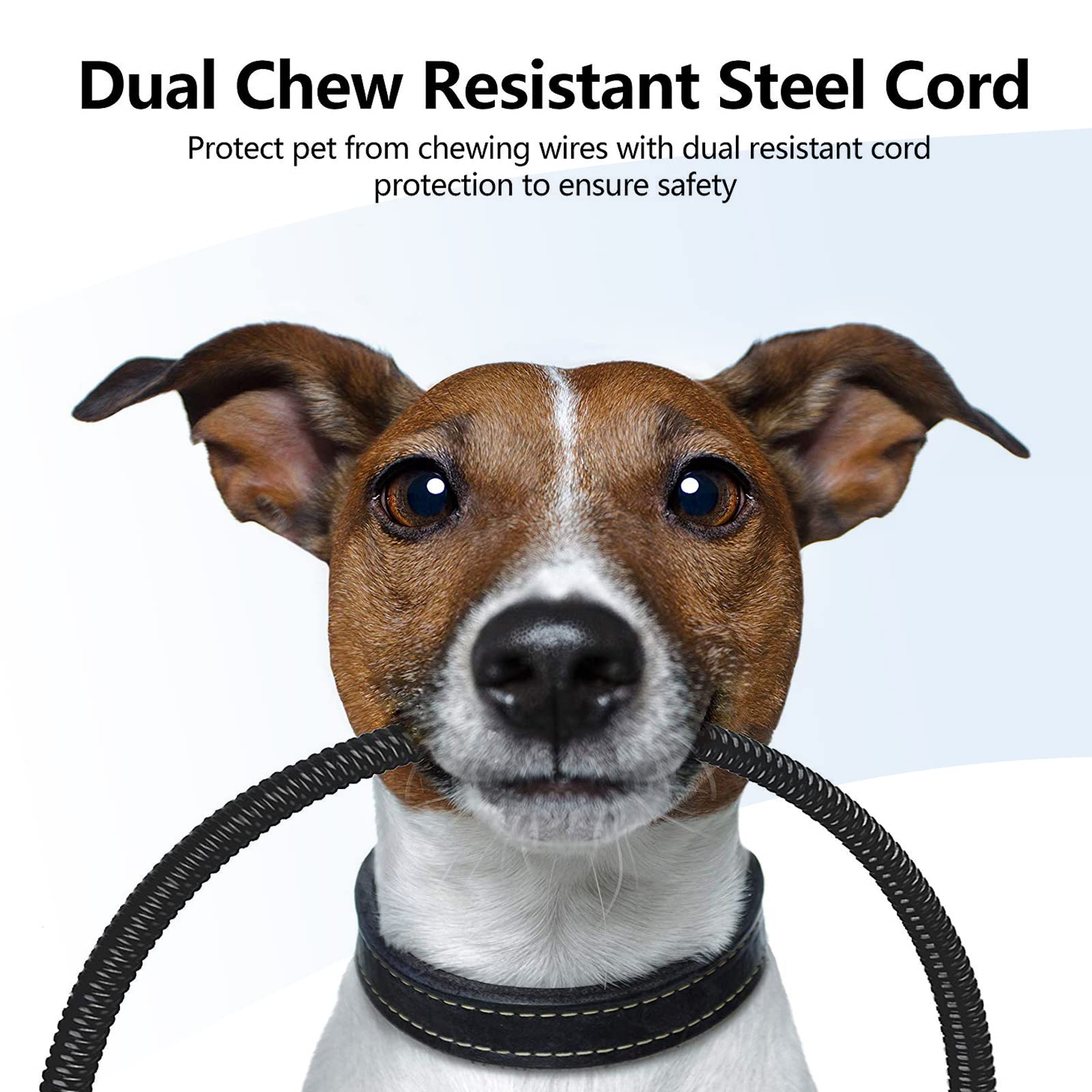 Dual Chew Resistant Steel Cord

Protect pet from chewing wires with dual resistant cord protection to ensure safety