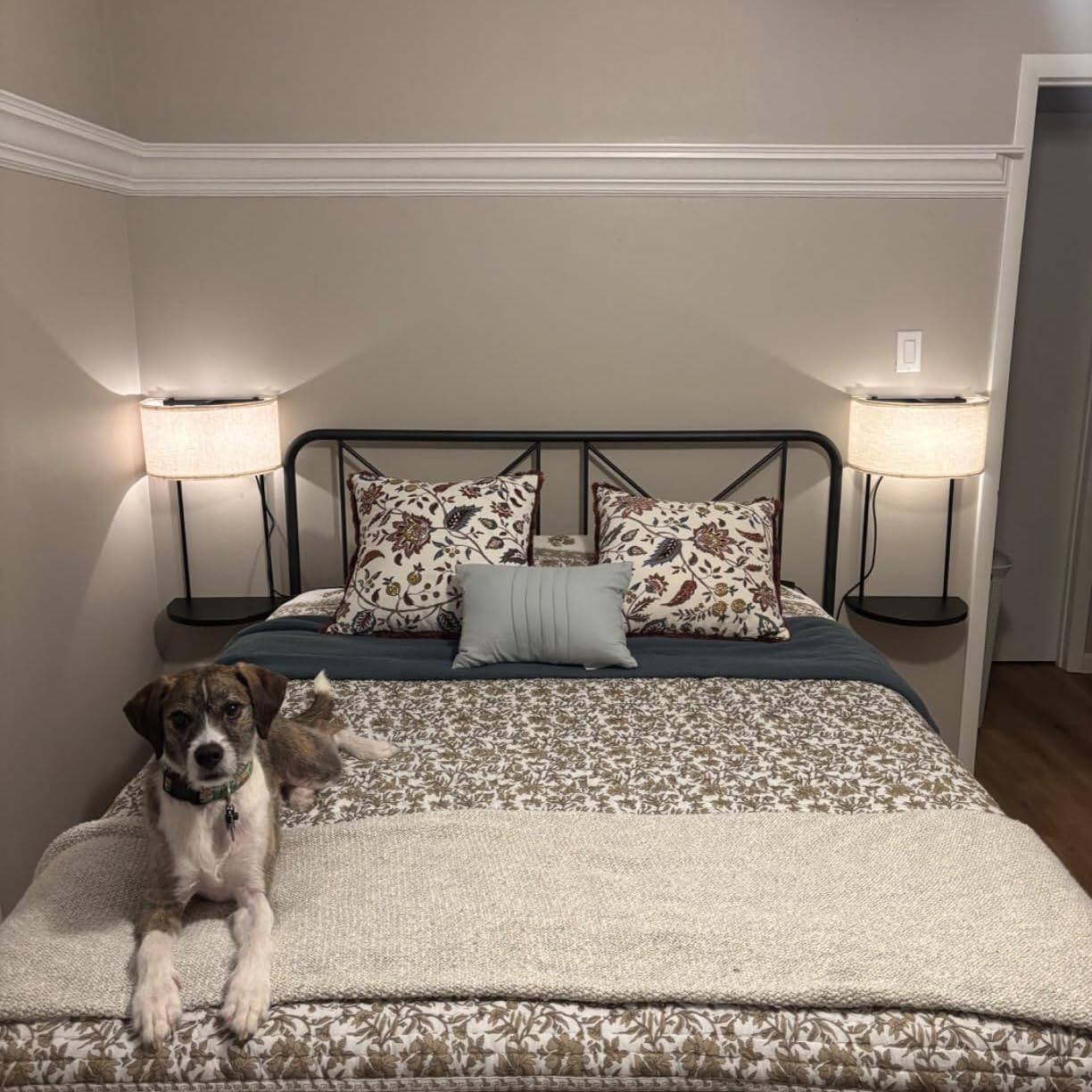 Back. TECH SAFARI - Plug In Wall Sconce With Shelf Modern Lamp For Bedroom And Living Room Linen Fabric Shade Light Ideal Bedsi - Beige.